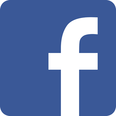 icona facebook piccola